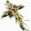 Cruz de gladiolos